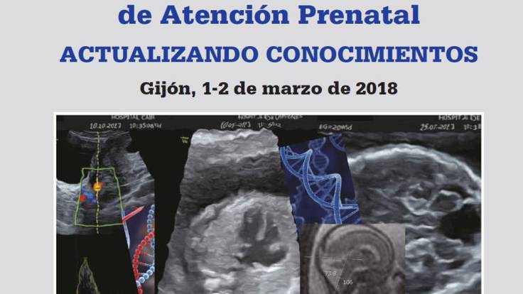 XI Congreso  de Atención Prenatal